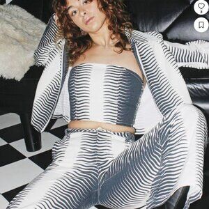 Studio Citizen Corset Top in Zebra Print